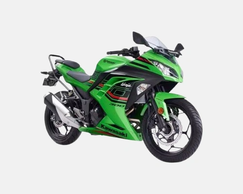 Kawasaki Ninja 300